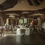 The Vine 5*