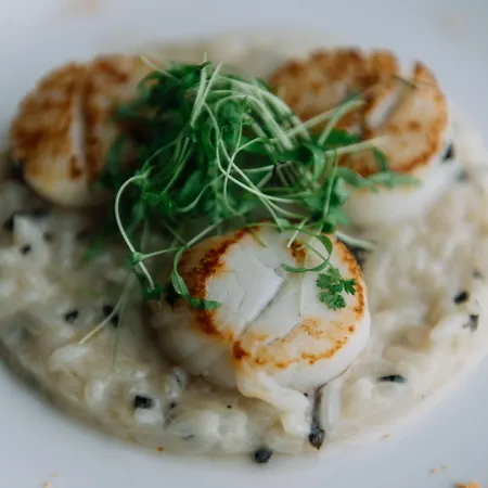 The Vine Funchal (Madeira)