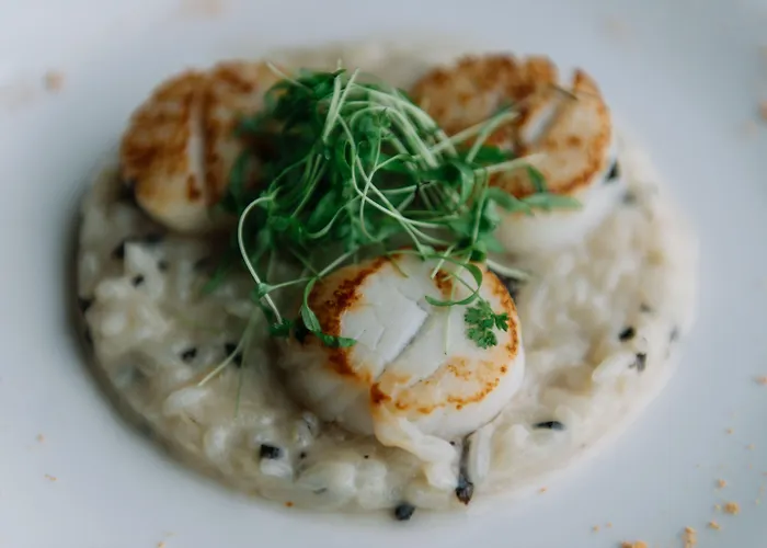 The Vine Funchal (Madeira)